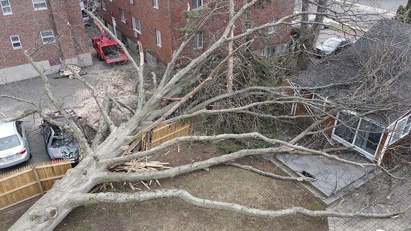 Storm Damage Cleanup