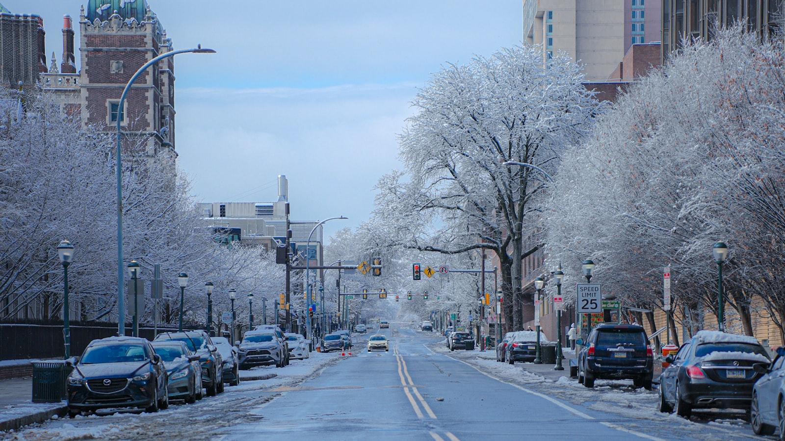 Snow-covered street lined with parked cars and trees.