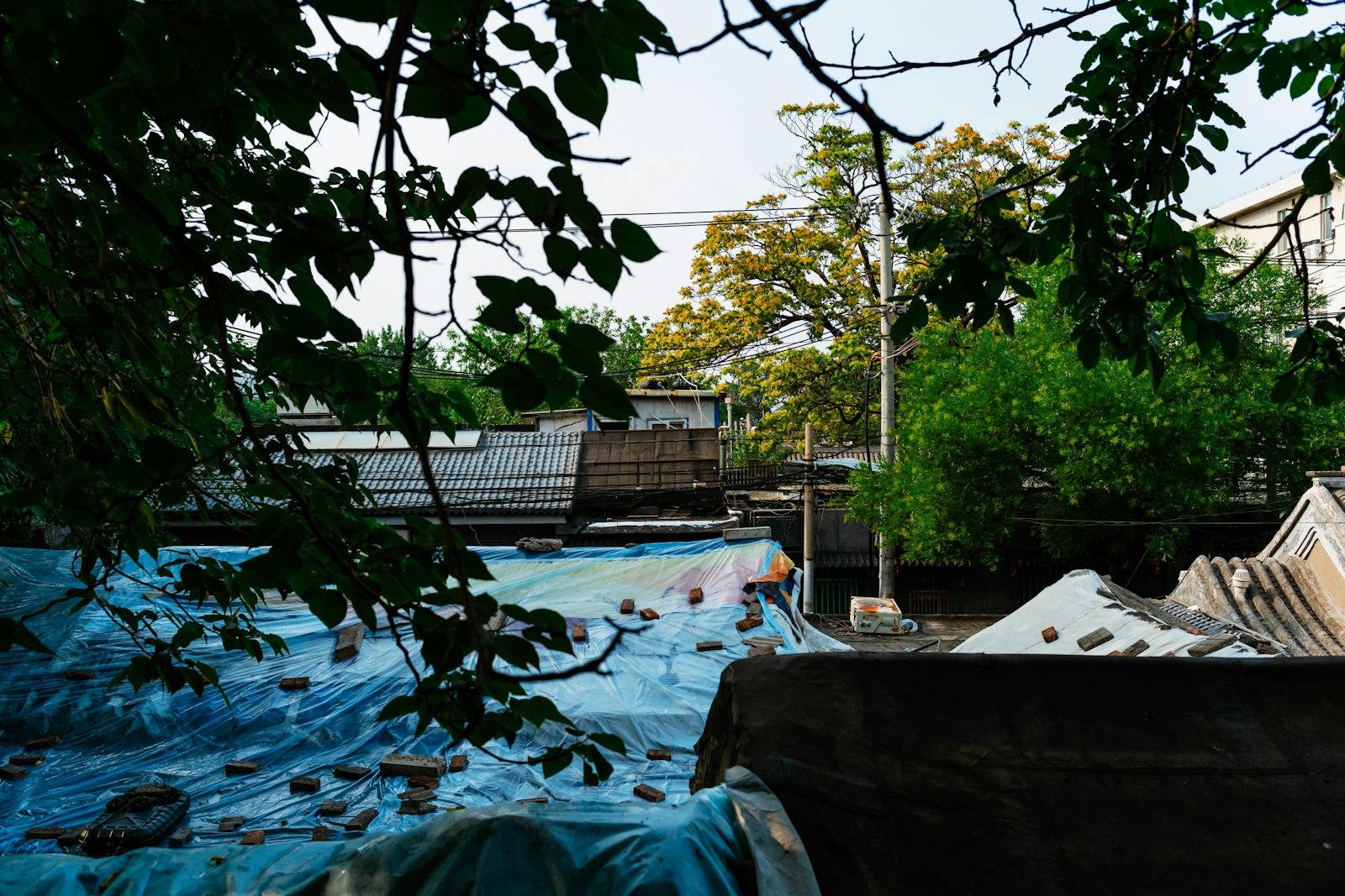 Trees overlook a construction site with blue tarp.
